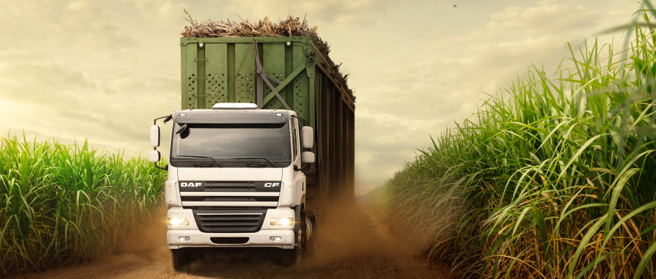 DAF Off Road